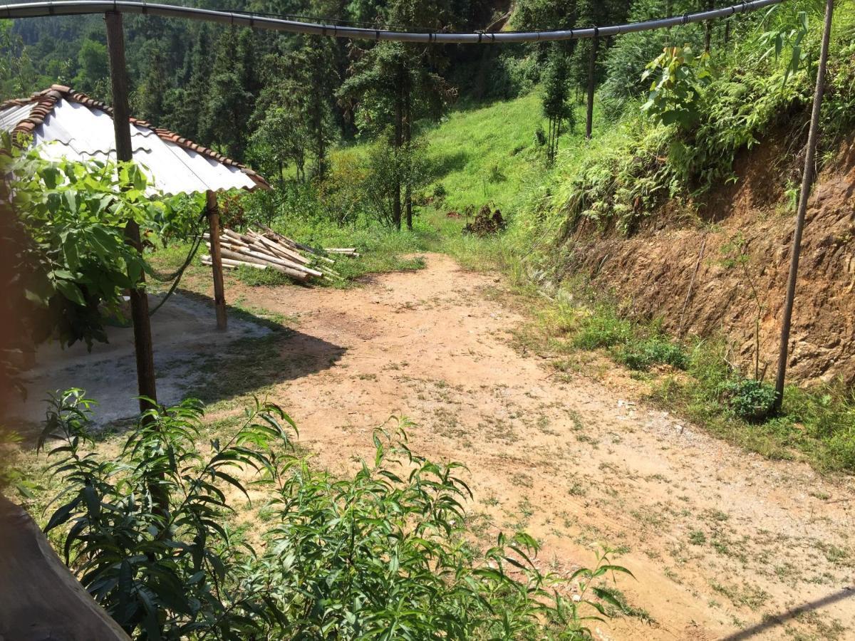 Homestay Hoang Vu ハザン エクステリア 写真