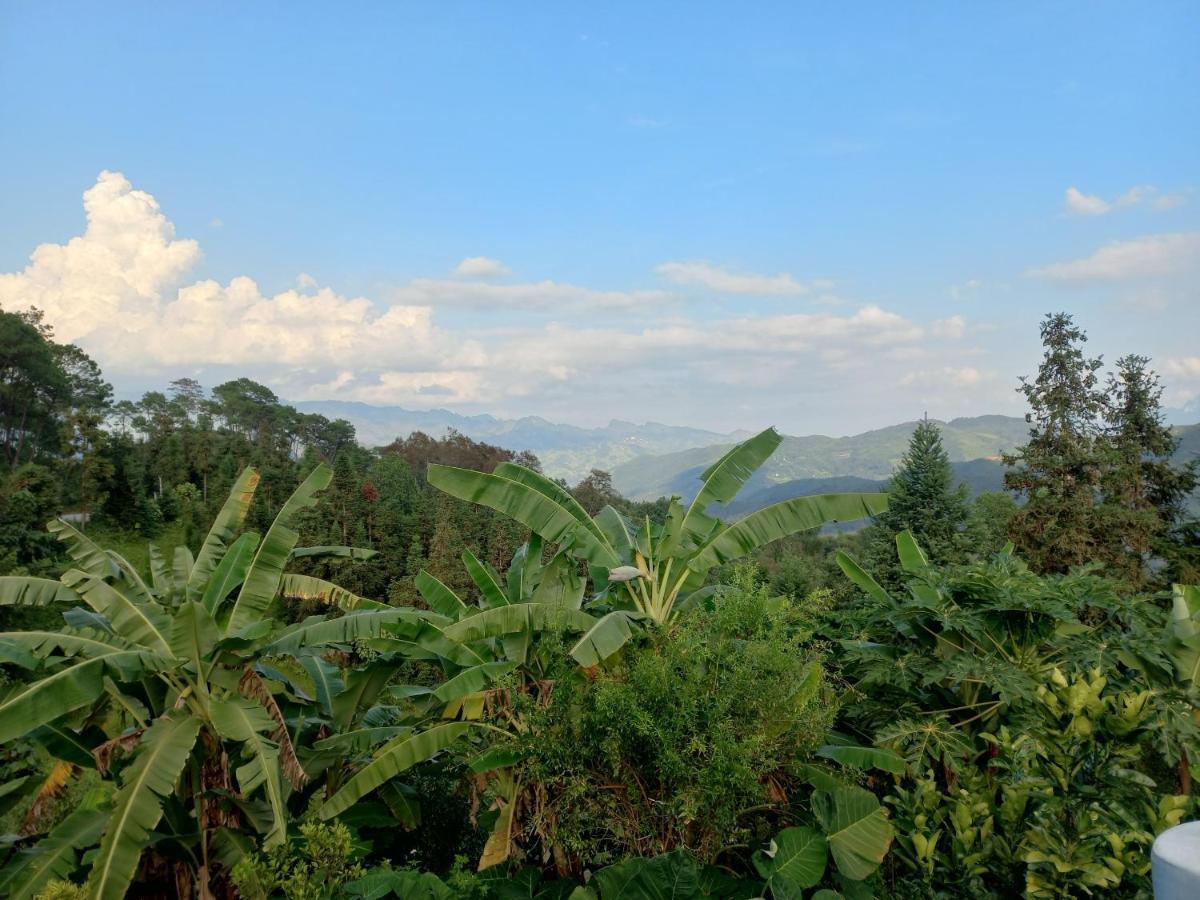 Homestay Hoang Vu ハザン エクステリア 写真