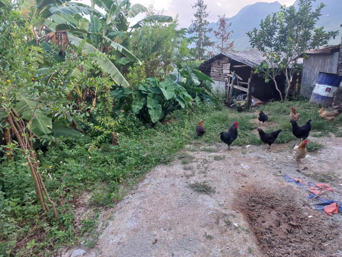 Homestay Hoang Vu ハザン エクステリア 写真