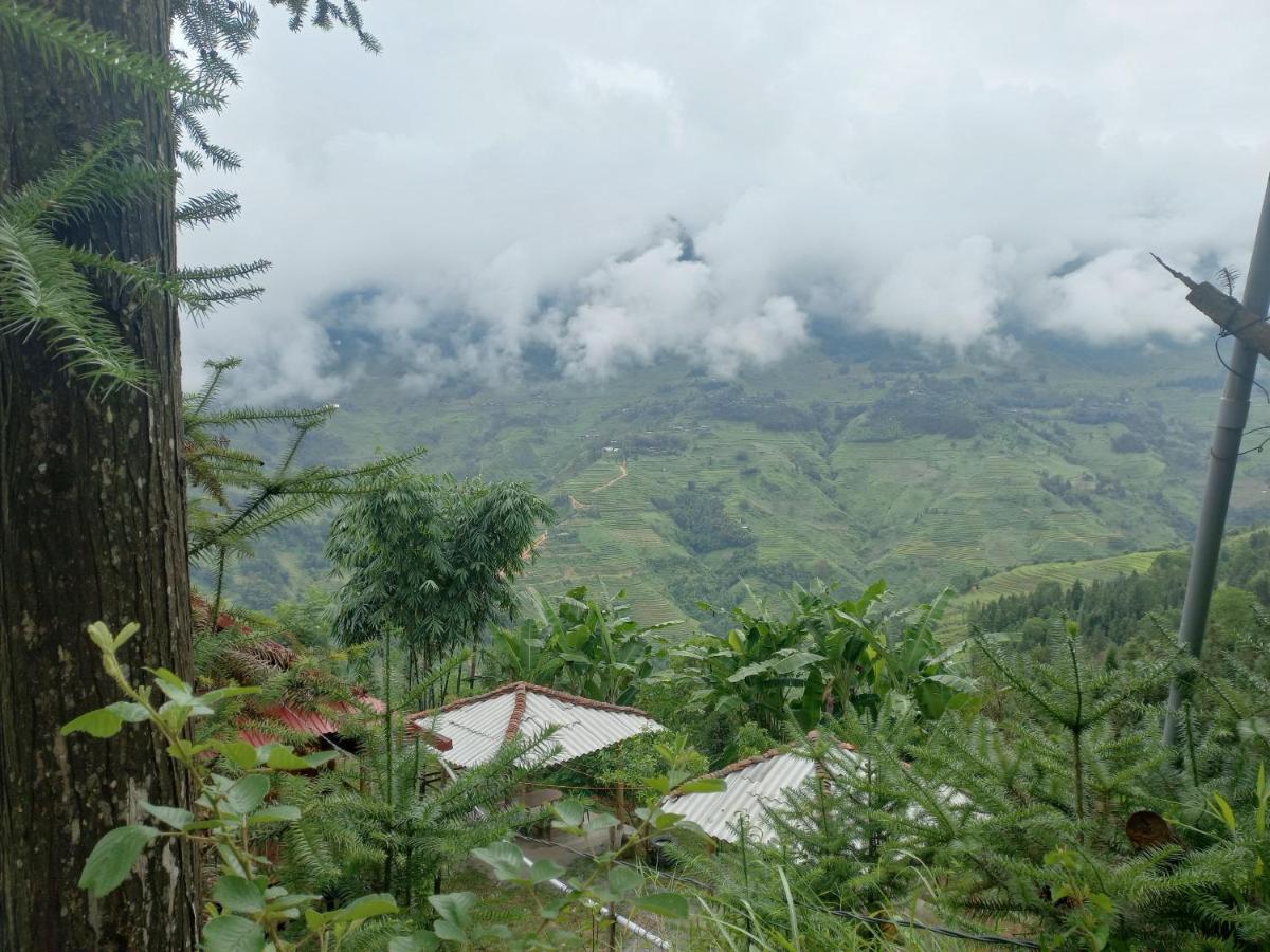 Homestay Hoang Vu ハザン エクステリア 写真