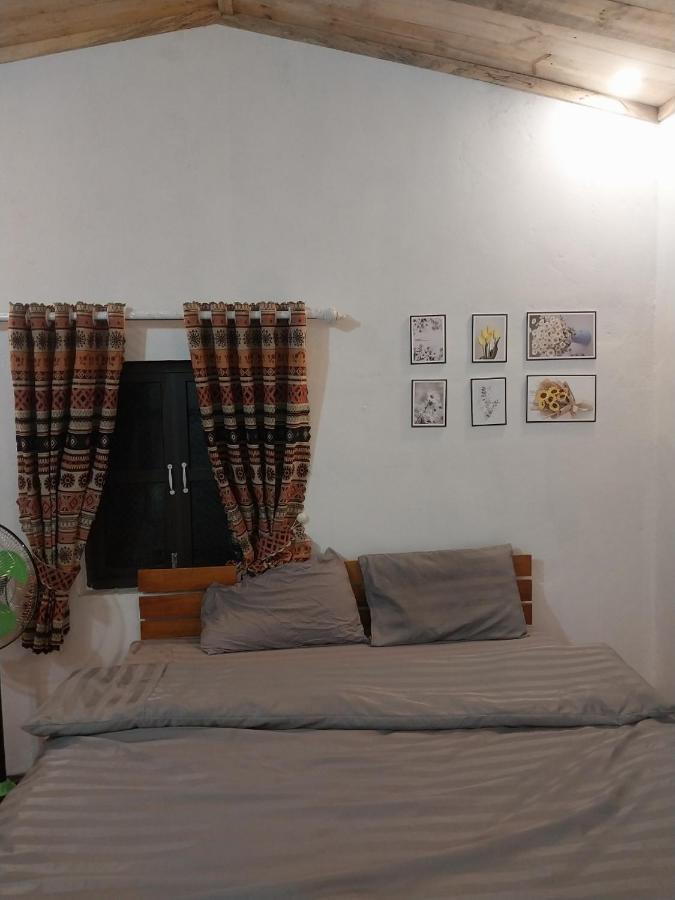 Homestay Hoang Vu ハザン エクステリア 写真